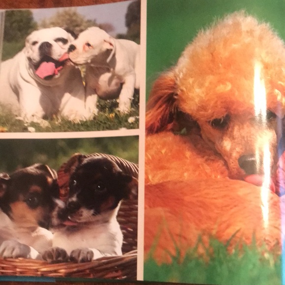 Book- Why Dogs Do That- A Collection of Curious Canine Behaviors by Tom Davis - Picture 3 of 11